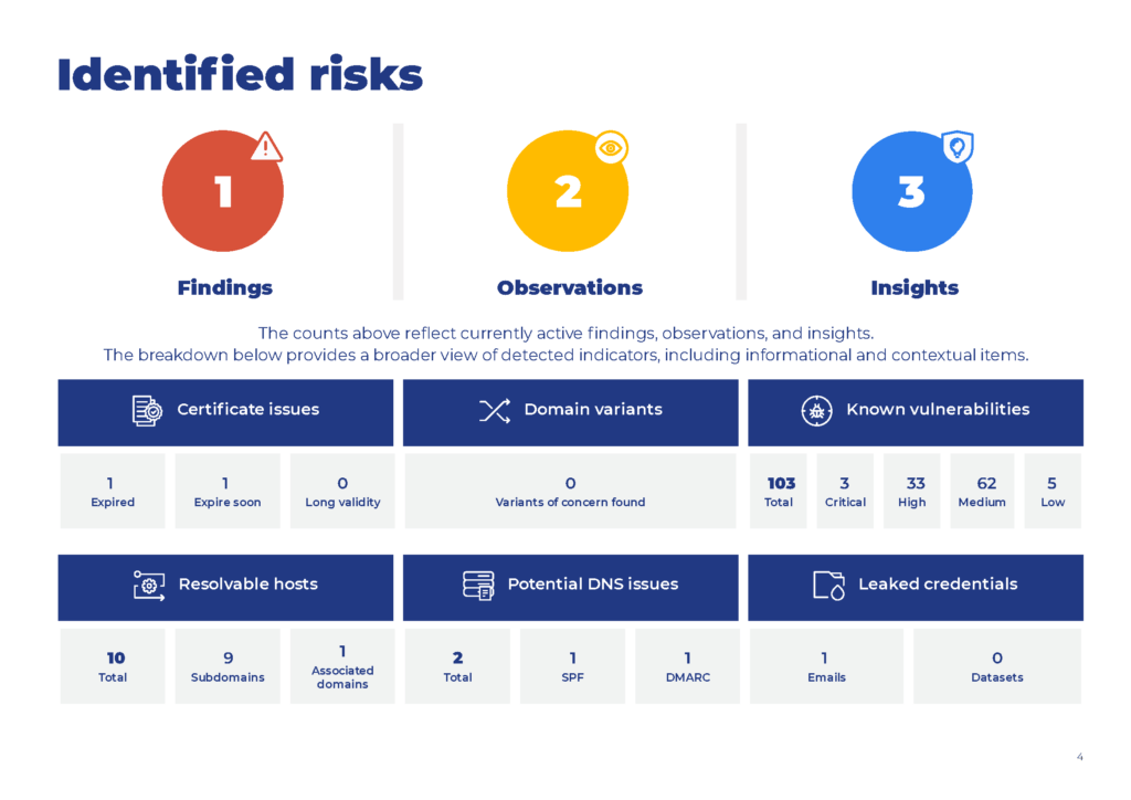 CyberProfiler report showing findings, observations and insights from an external vulnerability scan